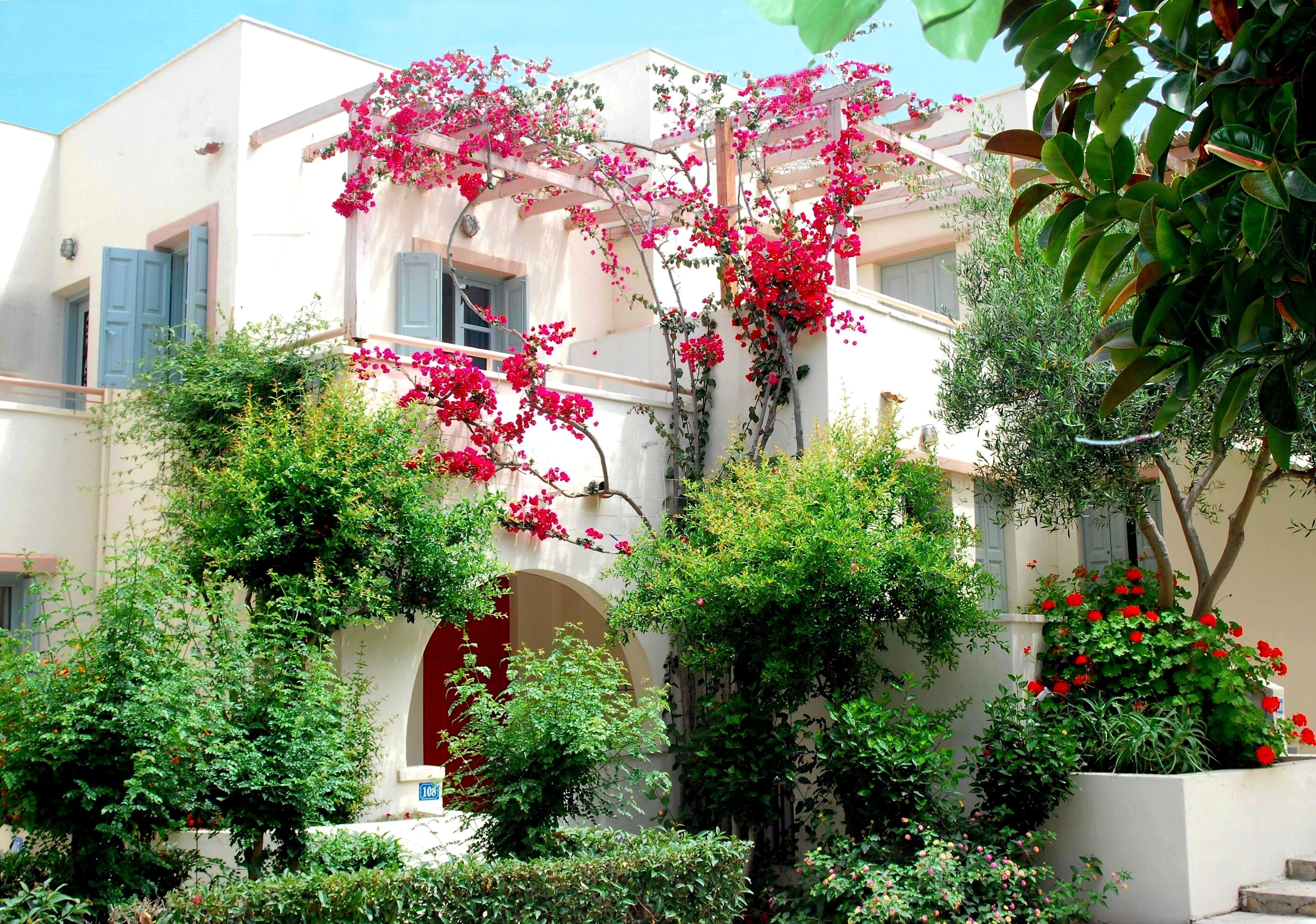 Aparthotel Nissia Kamares à Kardamena  Extérieur photo